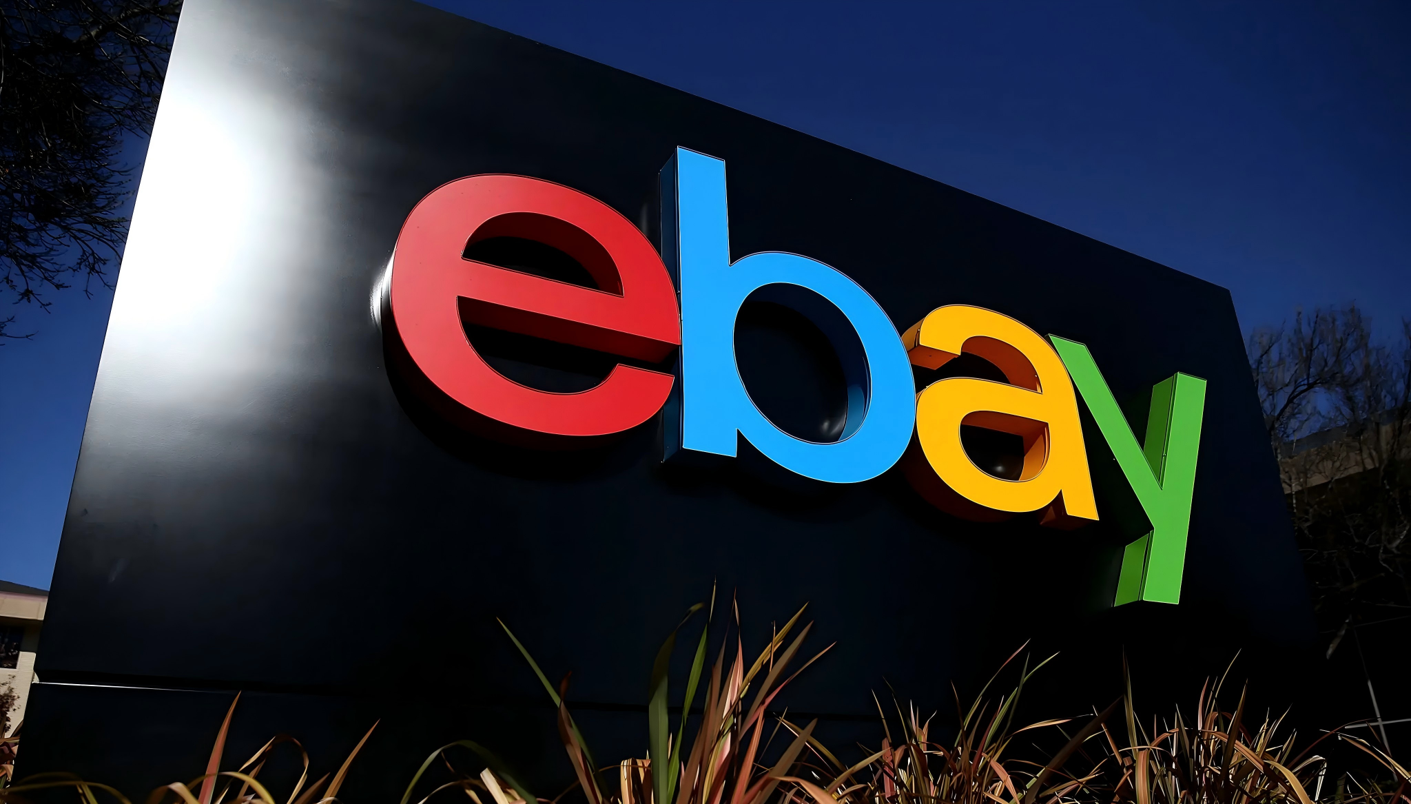 eBay全球开店运营-注于eBay平台的全球运营策略。详解账号风险管理、拍...-外贸课程