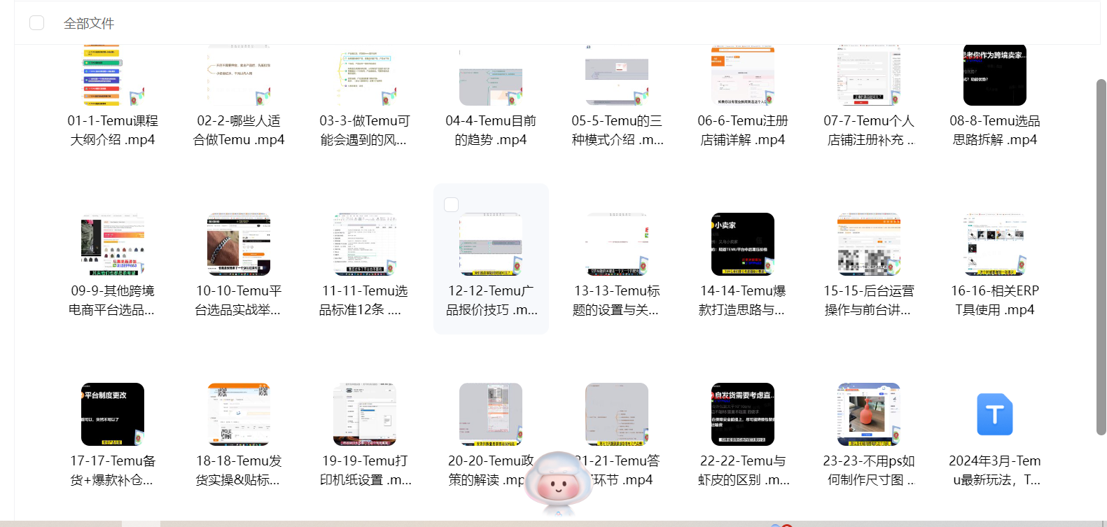 Temu跨境开店运营实操课 - 外贸课程-外贸课程