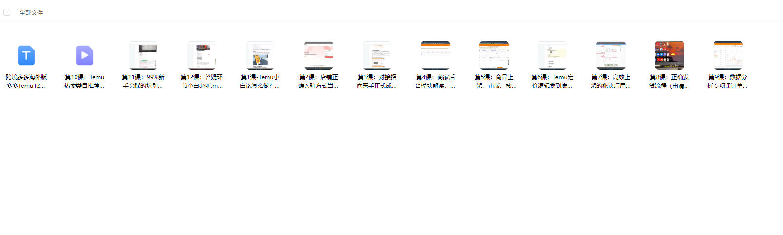 Temu12天快速入门 - 外贸课程-外贸课程