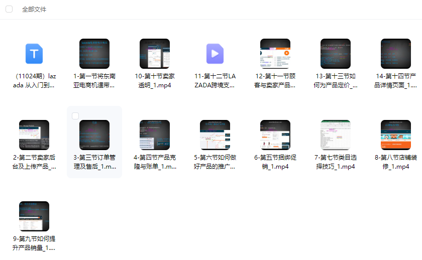 Lazada从入门到精通 - 外贸课程-外贸课程