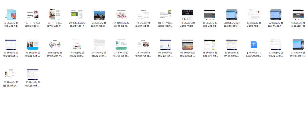 Shopify开店营销速成实战 1 image 29