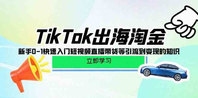 TikTok出海淘金：零基础入门短视频直播带货与引流变现-外贸课程