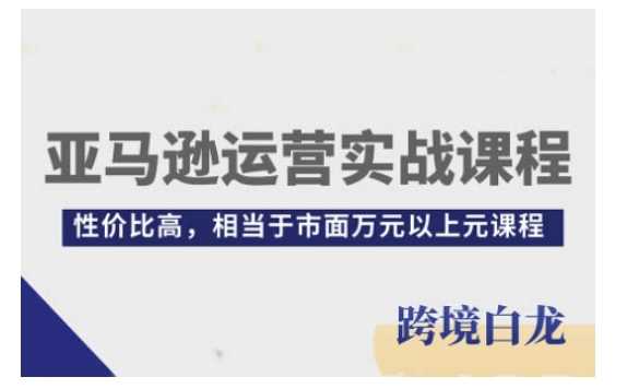 亚马逊运营实战：从入门到精通的高性价比课程-外贸课程