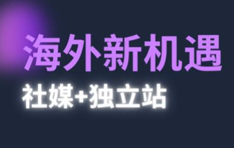2025出海新机遇：社媒与独立站高效运营实战指南-外贸课程