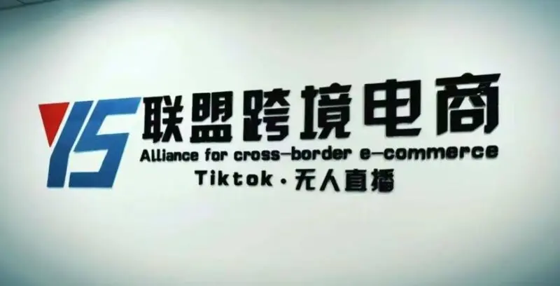 YS联盟TikTok无人直播教程：跨境短视频躺赚玩法-外贸课程