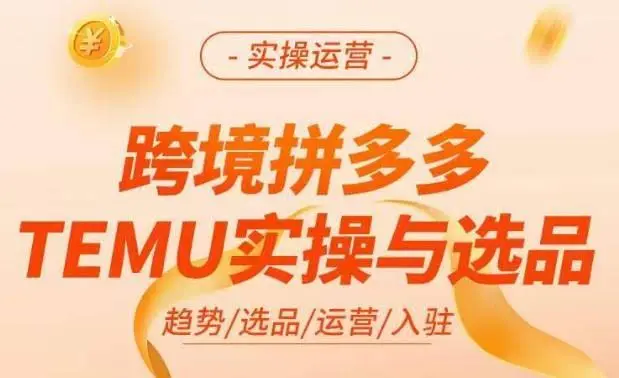 跨境拼多多TEMU实操与选品:掌握平台运营方法与选品技巧-外贸课程