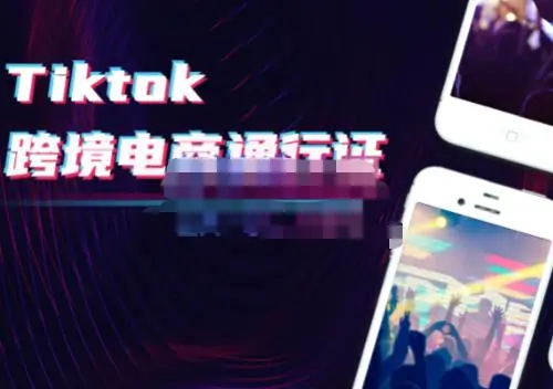 亿启出航·TikTok跨境电商通行证2.0:账号运营、跨境支付、物流与直播全攻略-外贸课程