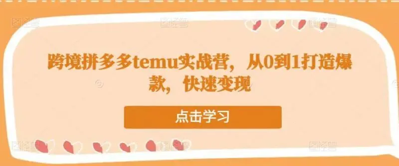 跨境拼多多Temu实战营:从零到一打造爆款快速变现-外贸课程