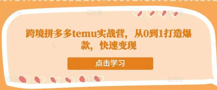 跨境拼多多Temu实战营:从零到一打造爆款,快速变现-外贸课程